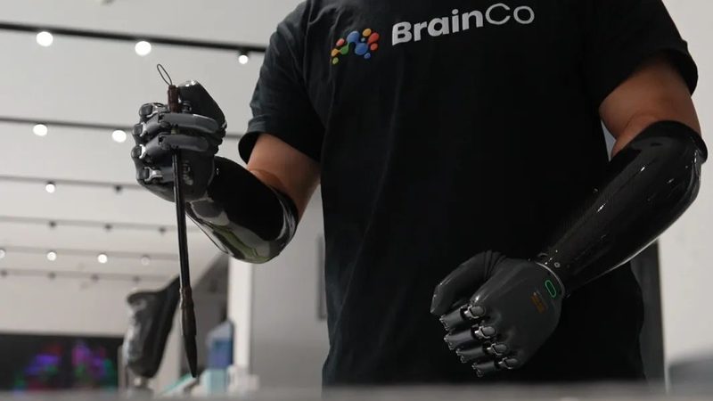教育机构数字化转型的工具选择之道**